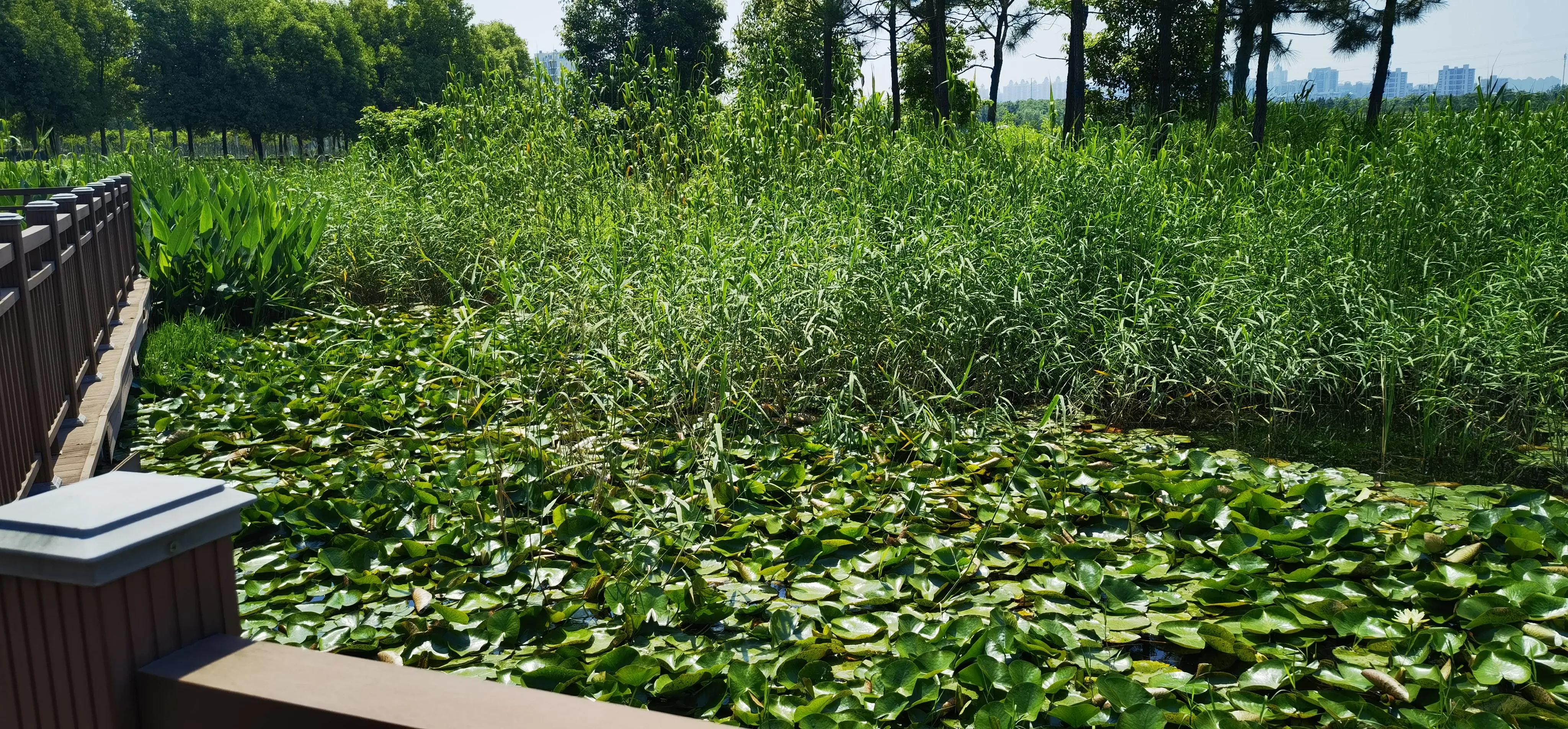 合肥晚上带娃好去处,合肥附近带两个娃去哪里玩