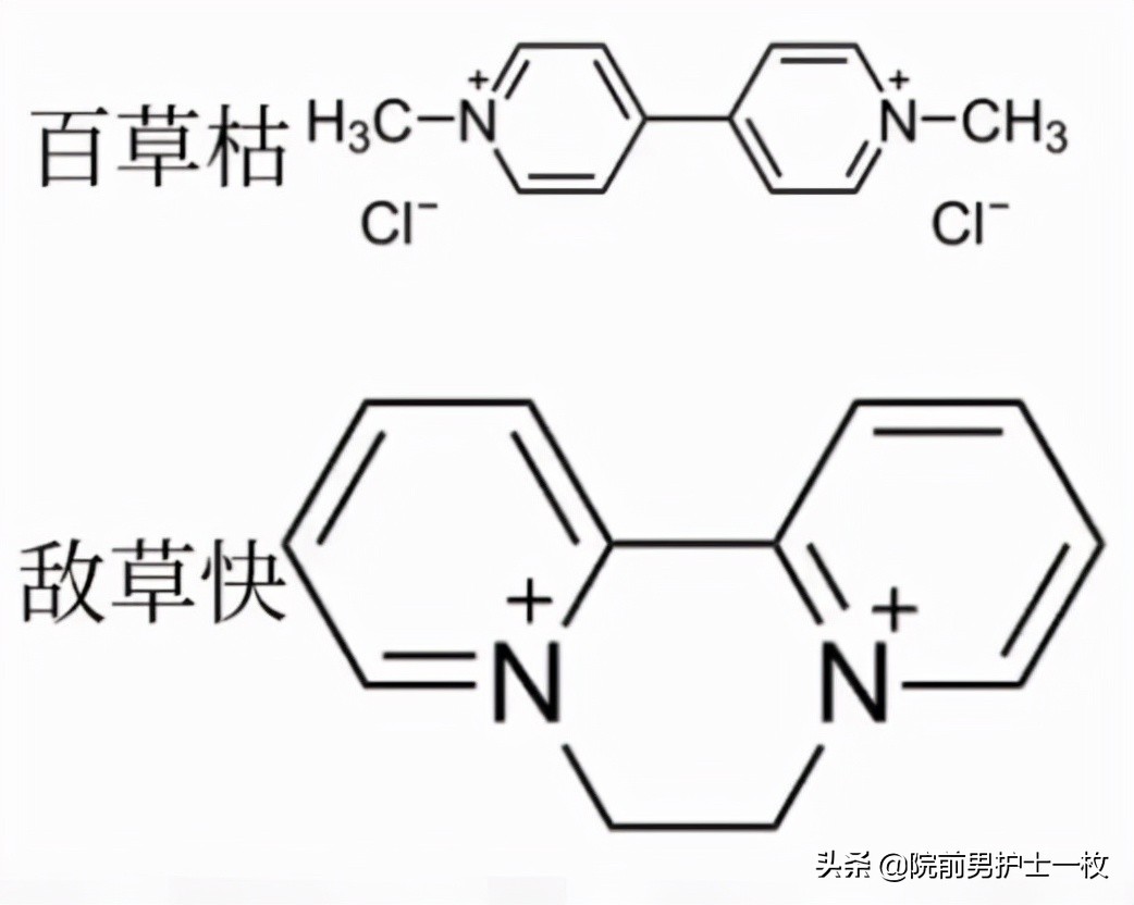 除草剂中毒要用阿托品吗,敌草快中毒治疗专家共识