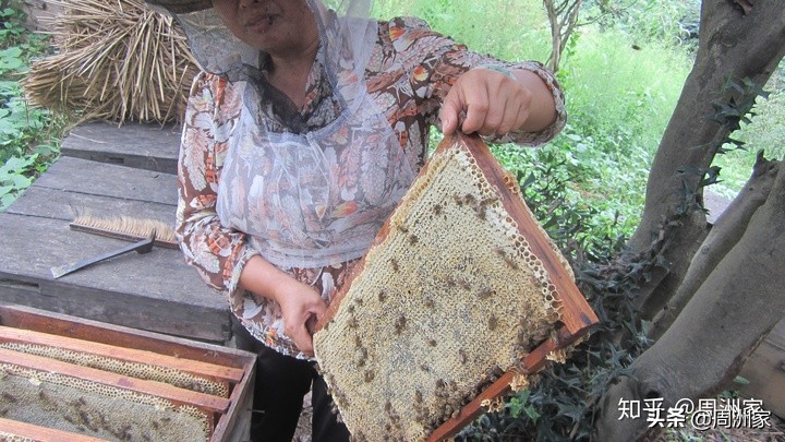 人工蜂蜡与天然蜂蜡,食品级蜂蜡好还是天然蜂蜡好