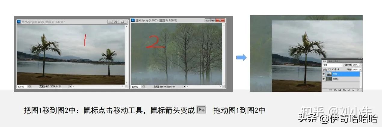 photoshop里面有几种选框工具,ps里矩形选框工具不随鼠标移动