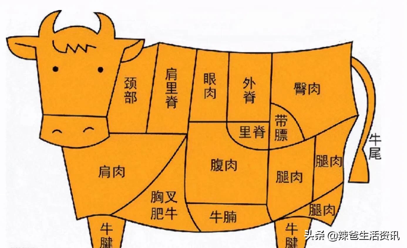 教你认识牛肉各部位,牛肉最好的部位有哪几处