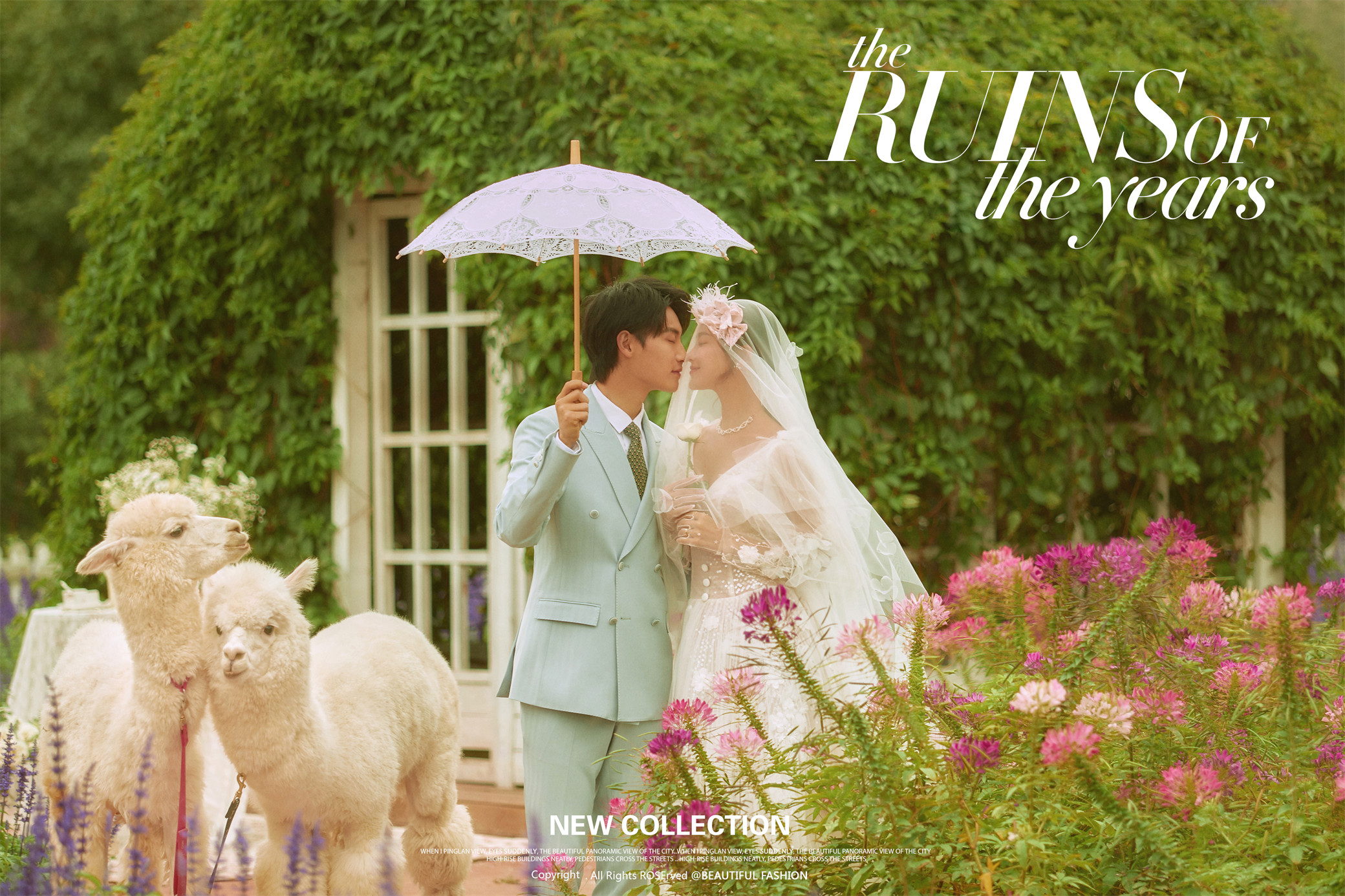 摄视界婚纱照深圳,摄视界旅拍有目的地婚礼吗