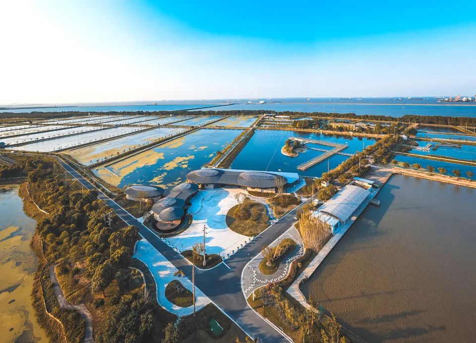 上海市首批市级旅游重点村,上海第四批全国乡村旅游重点村