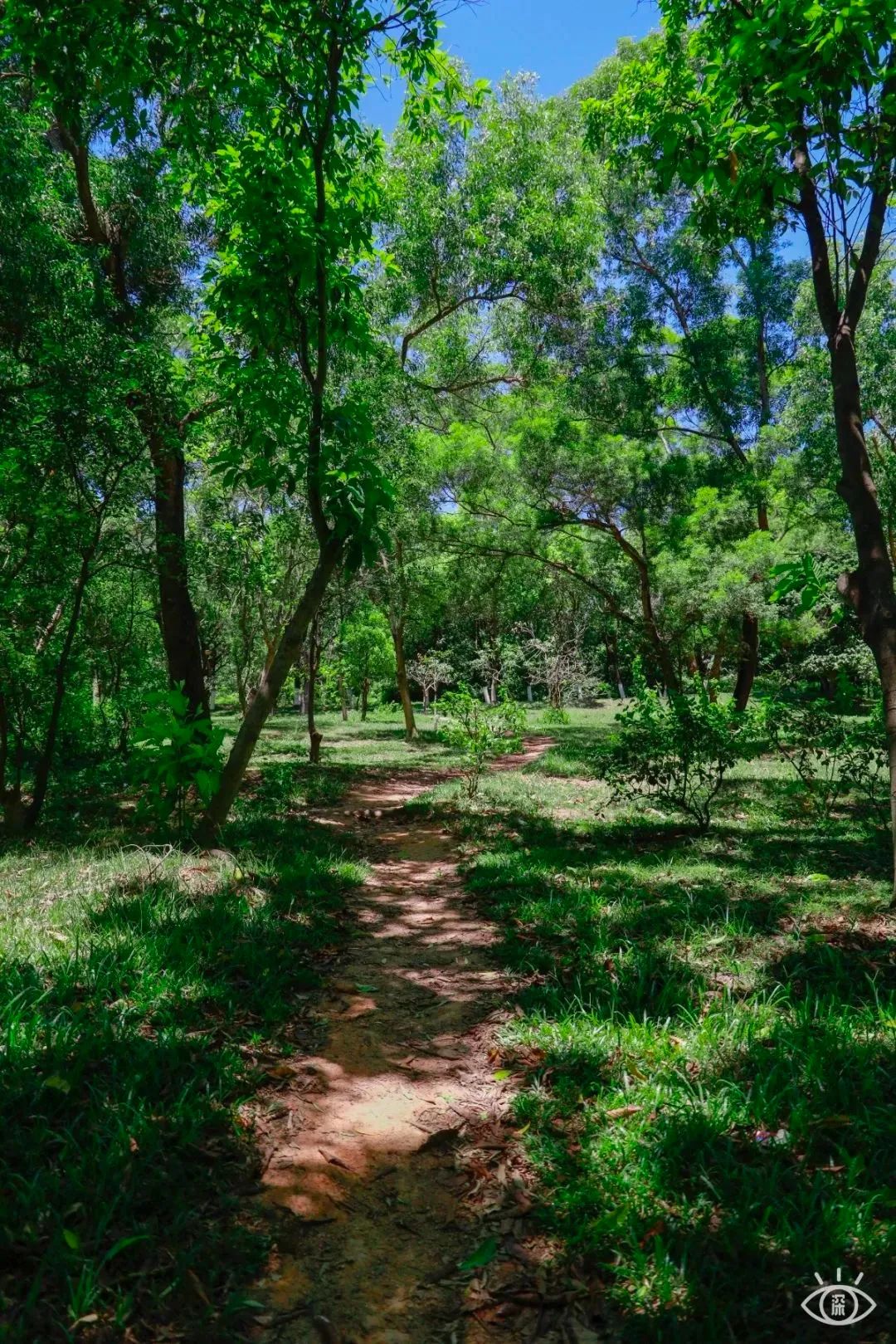 深圳10条入门登山线路推荐,深圳十大山峰最新登山攻略