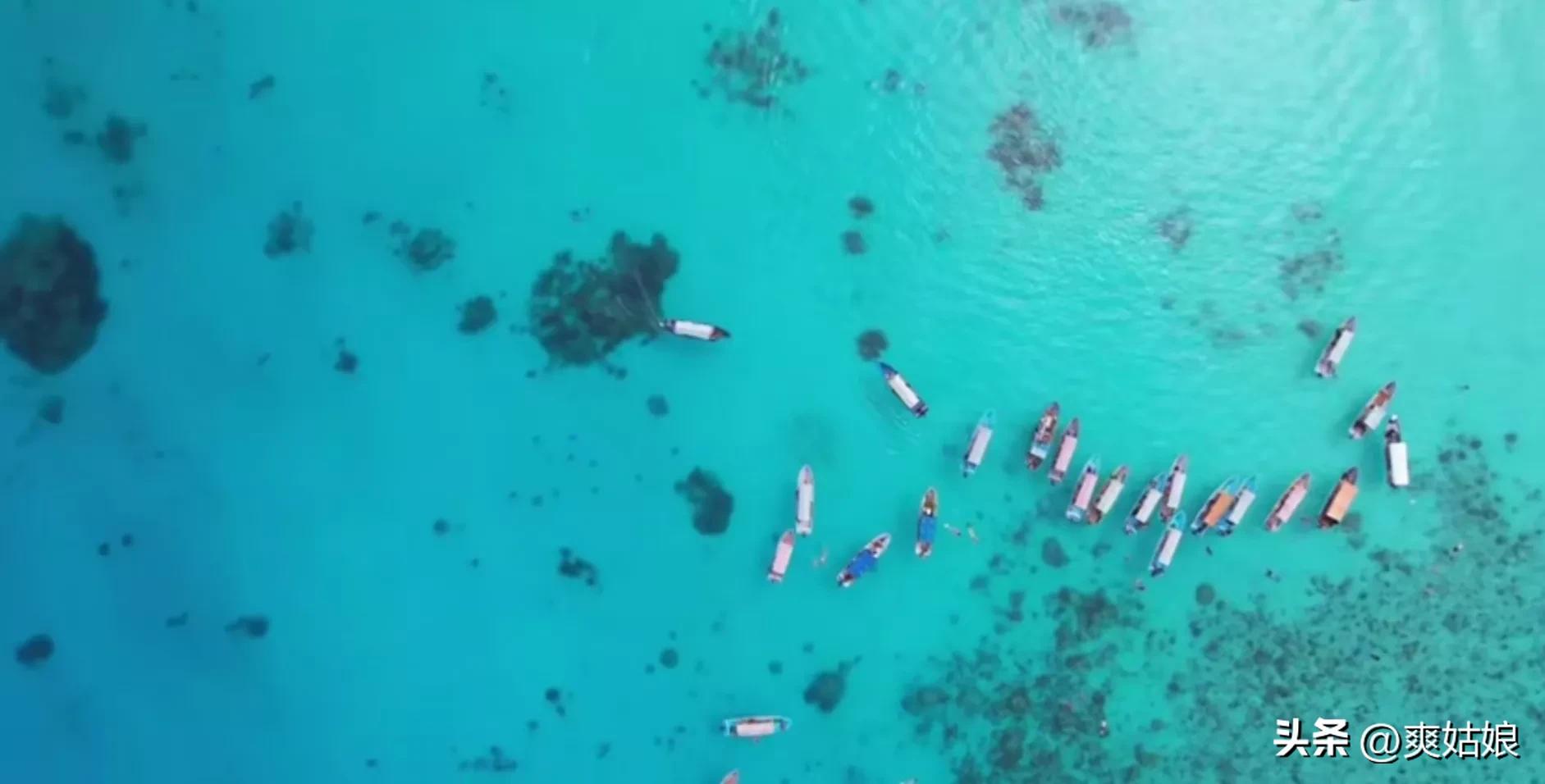 非洲小五带保镖游比尔盖茨买的岛，木头头见泳装美女，直呼太美