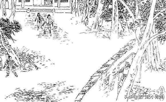 射雕英雄传之杨过后传,射雕英雄传之相伴到天涯