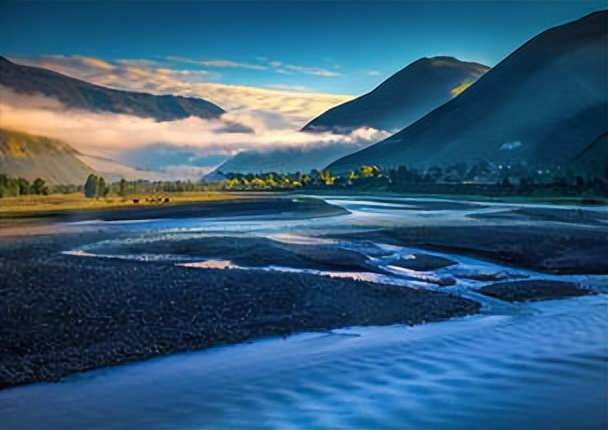 新冠肺炎历史每日数据,新冠肺炎历史全集