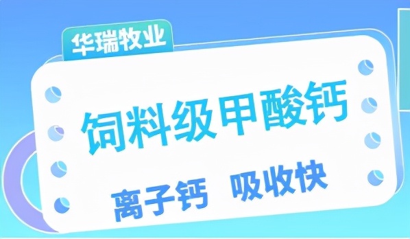 蛋鸡缺磷的表现,蛋鸡缺钙生石灰喂多少合适