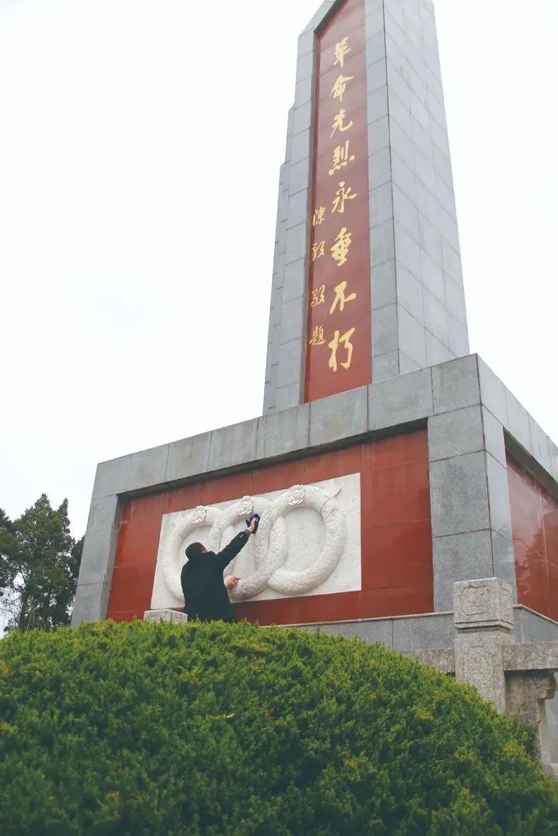 最美江苏如皋,江苏如皋最美乡村