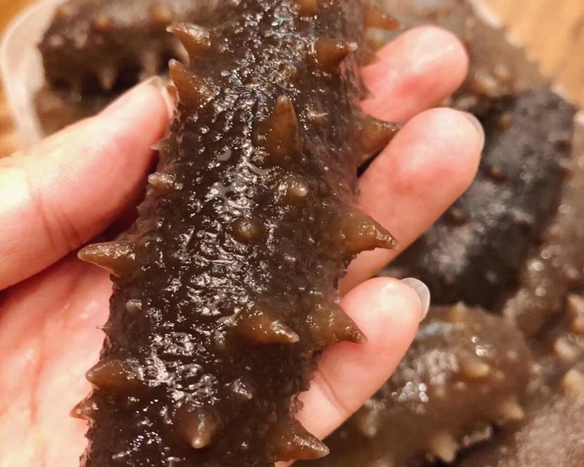 带你了解海参的几个小常识,对于海参的说法你知道几种