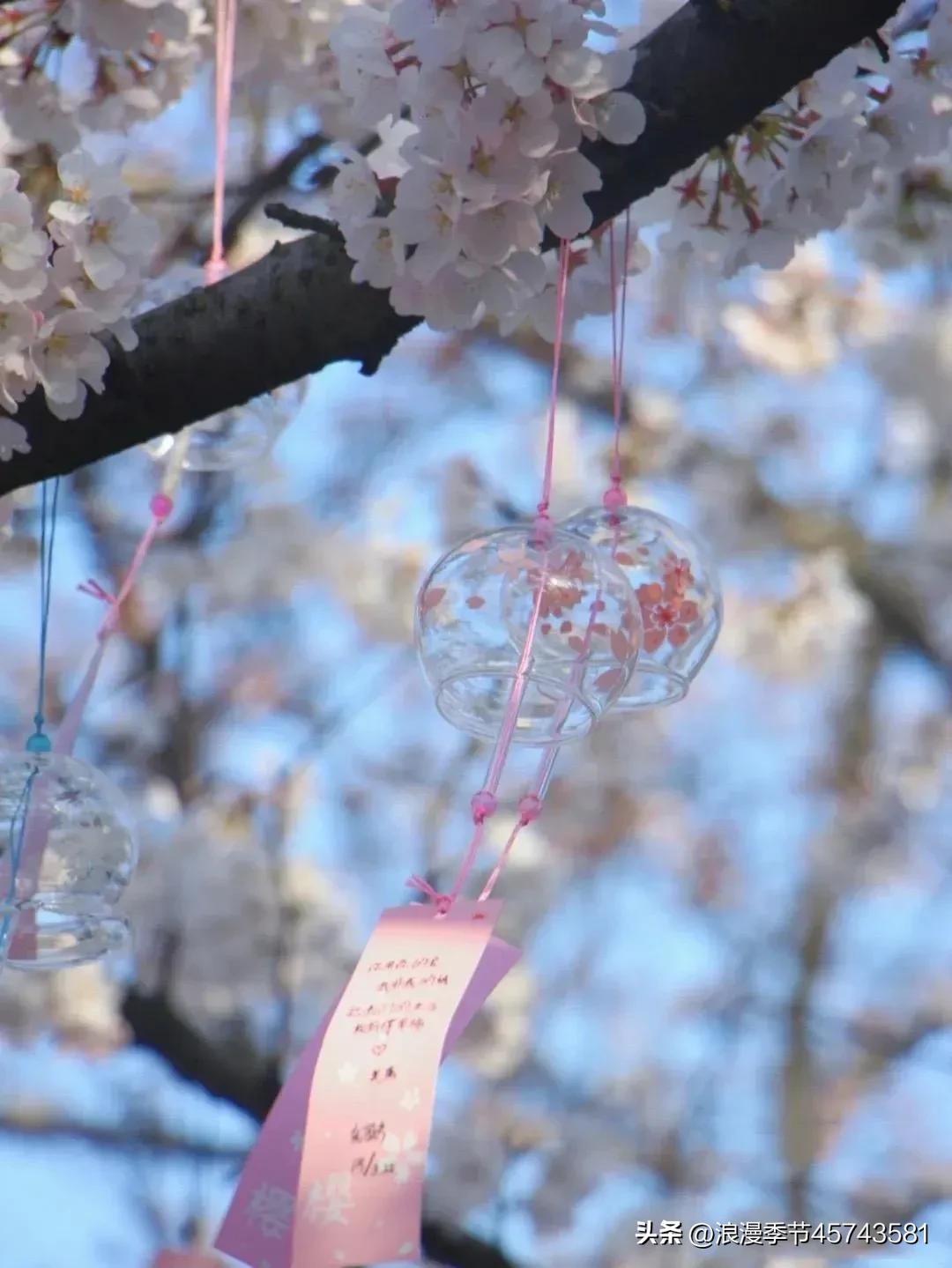 花开时节更清新的散文,春暖花开的季节散文