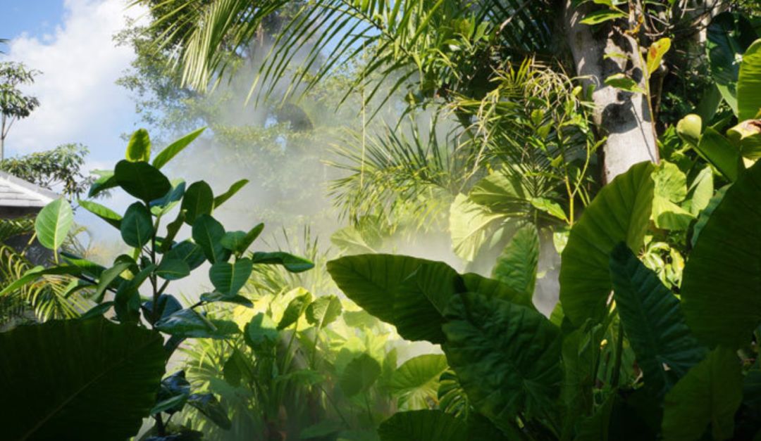 银杏谷泡温泉的地方,广东冬天赏银杏泡温泉