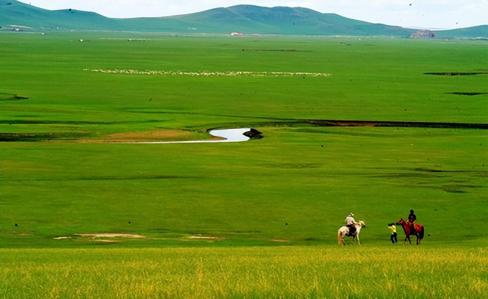 狼十年后报恩,狼是如何报恩的