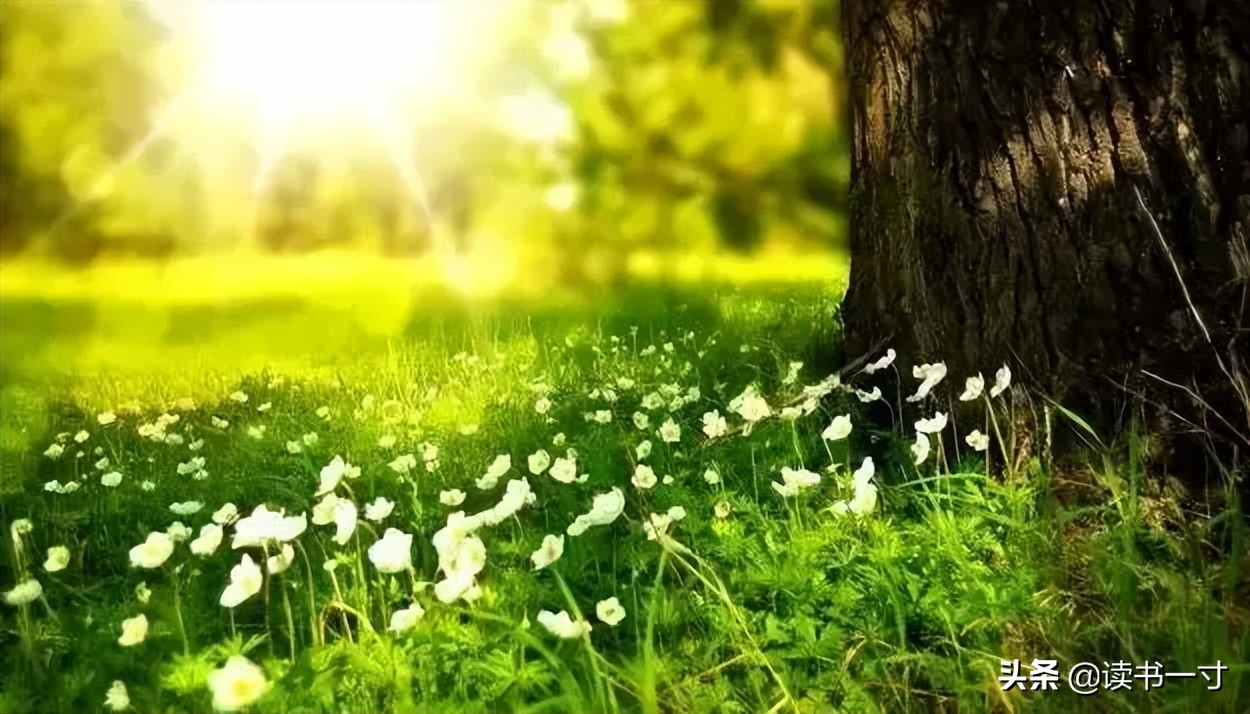 上海一男子新冠自愈过程,上海男生新冠自愈