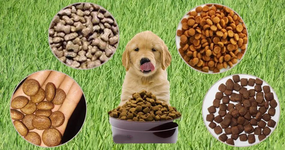 被人忽视的小生意，干的人都成了暴发户，而且市场需求很大