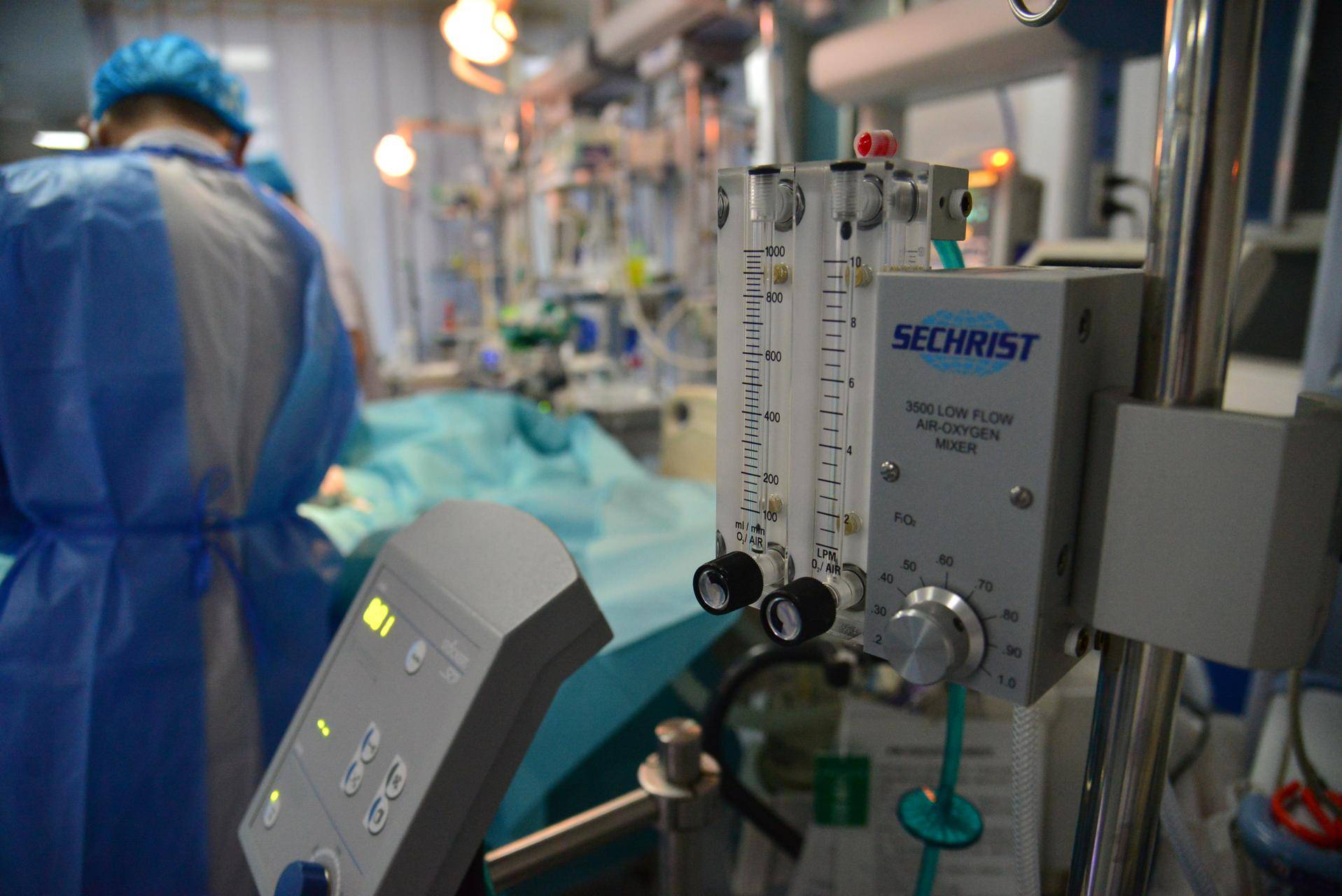 被蜱虫咬后死亡的几率有多大,夺命蜱虫怎么去除