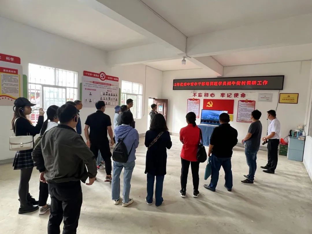 党建引领争先锋实干担当促发展,元阳县党建