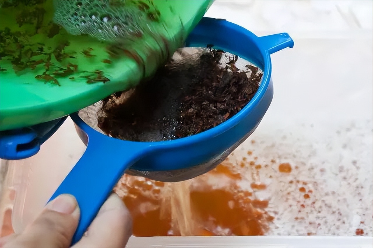 室内养花除虫小妙招,养花生虫最好的方法