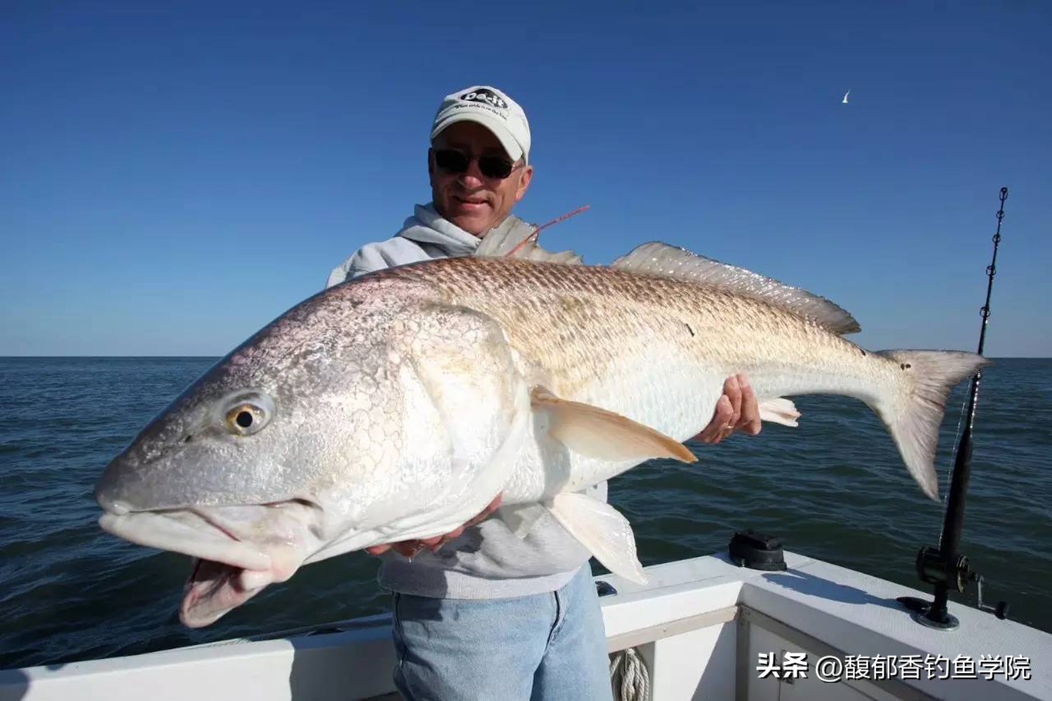 海鱼的习性及钓法,各种海鱼生活习性与水层