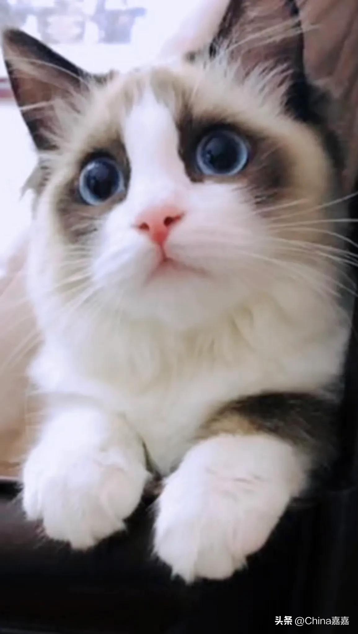 这个才能治愈你的不开心