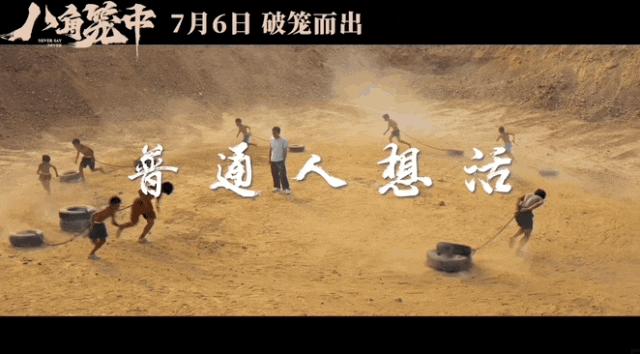 王宝强新片舆论,王宝强新作宣传