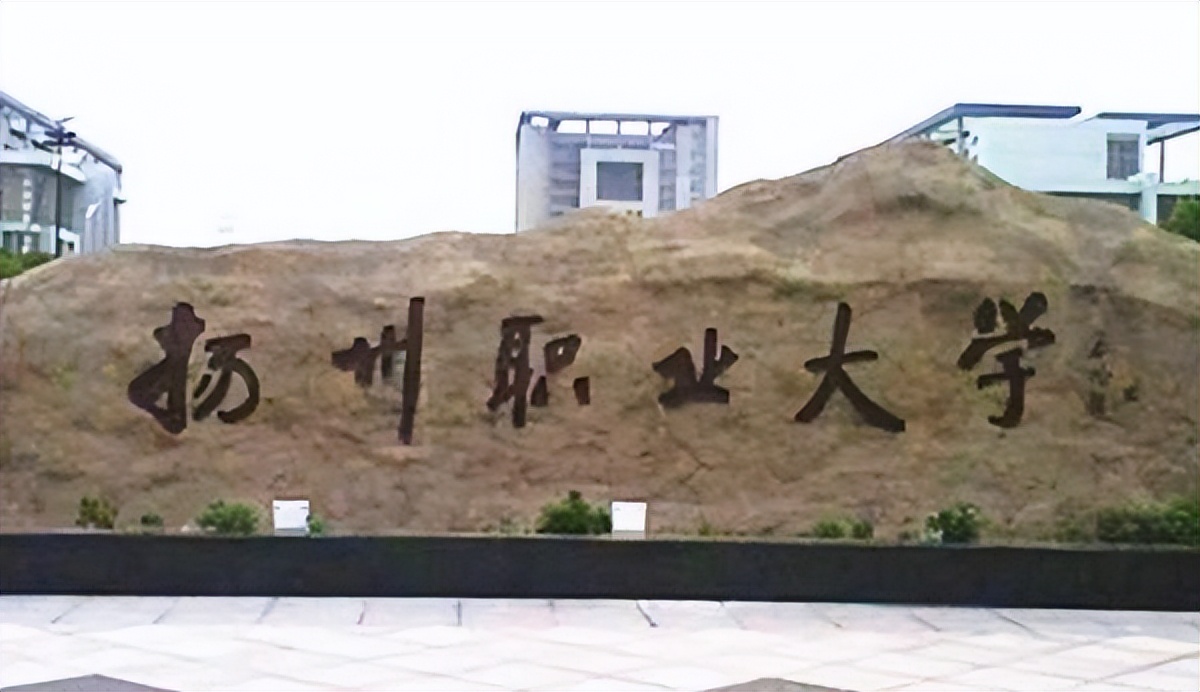 名字里有文字的大学,名字带有大学的专科学校