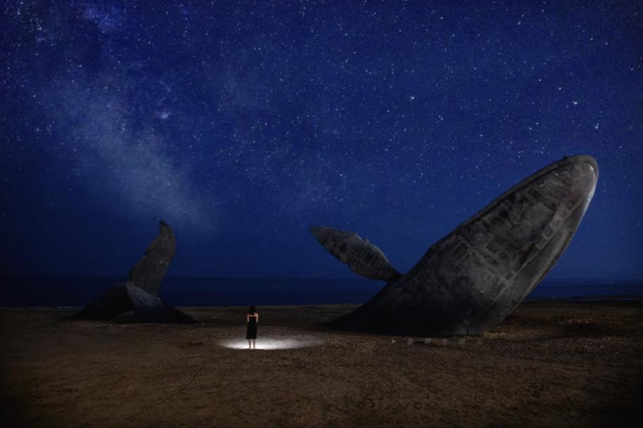 有山有海有雪的城市烟台,环渤海新区烟台