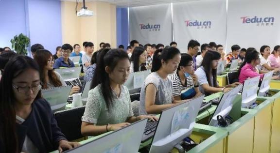 6个月线下IT培训费2万起，是割韭菜还是行情，根源还是就业赚得多