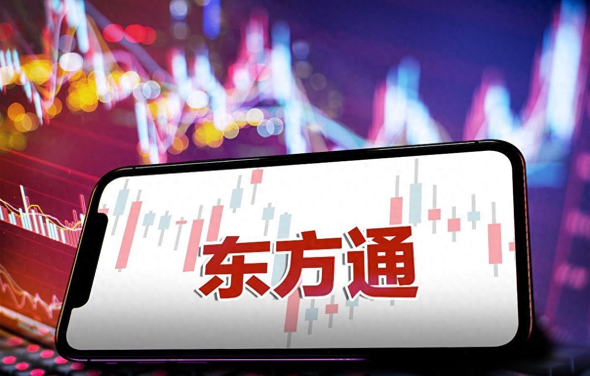 东方通科技有限公司,东方通公司的盈利能力