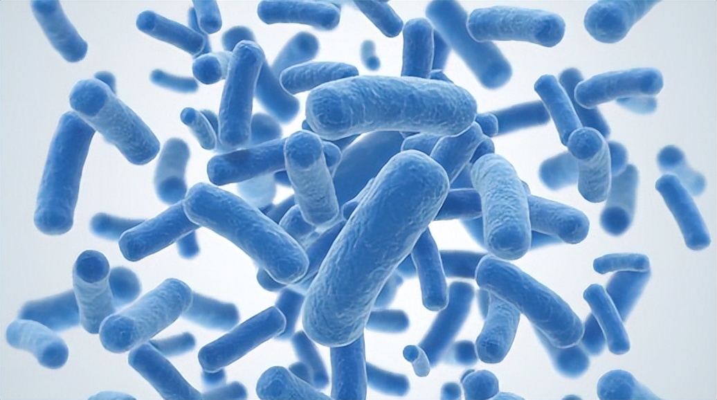 人体卫士和细菌大作战,人体卫士与细菌病毒大作战完整版