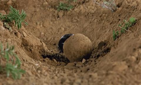 拉屎太用力有什么后果,拉屎便秘快速解决小妙招