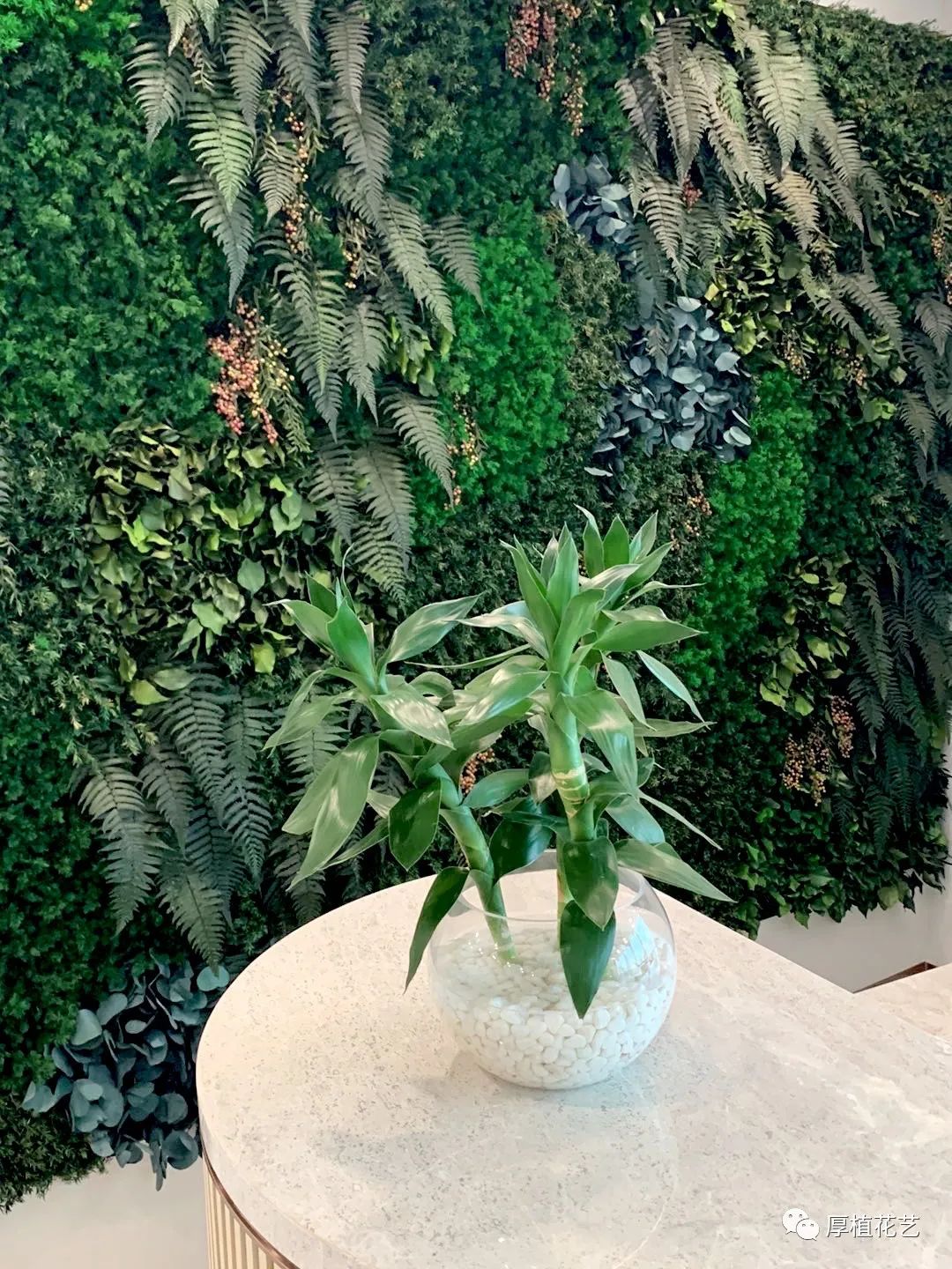 商务前台鲜花,前台花选择