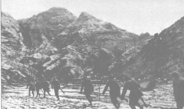 87年一老人来到政协,点名要见杨副主席:我是他40年前的老房东