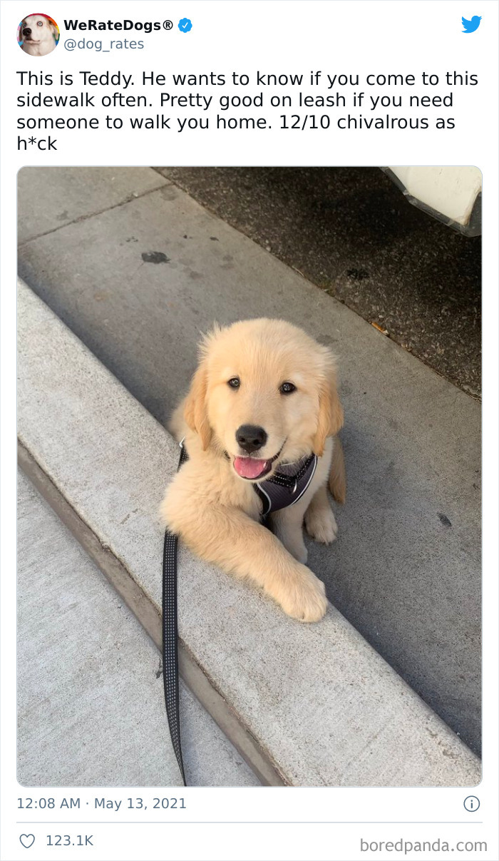 缇庡浗灏忓摜鐐硅瘎瑙嗛,缇庡浗灏忓摜鐐硅瘎