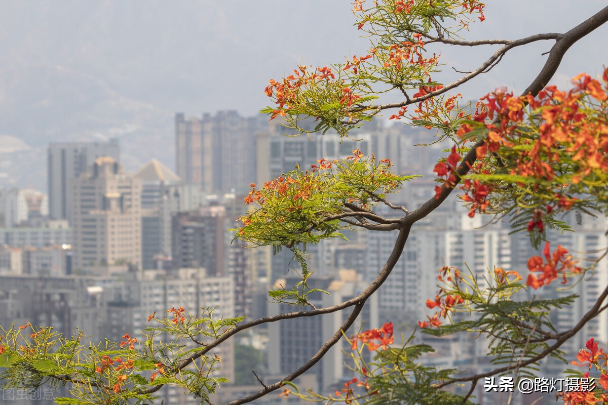 中国适合冬季避寒的地方,这才是国内避寒的七座安逸城市