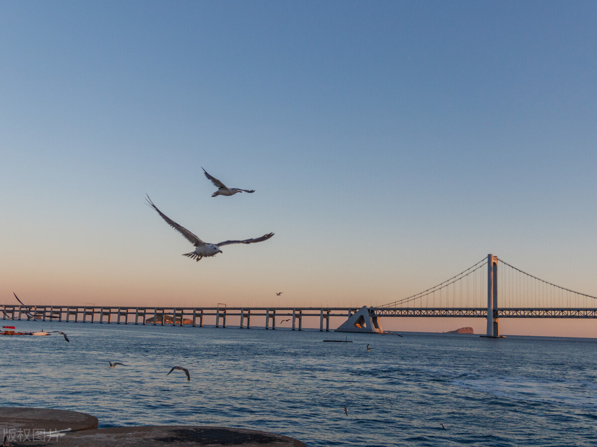 大连著名景点风景图片大全,大连十大最值得去的景点