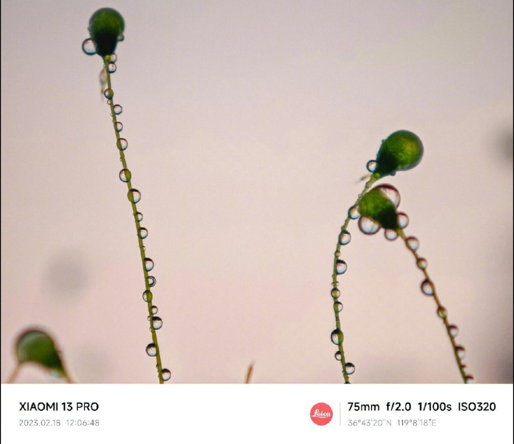 运营商开始重耕5G频段，专家建议4G手机用户尽快升级，影响明显！