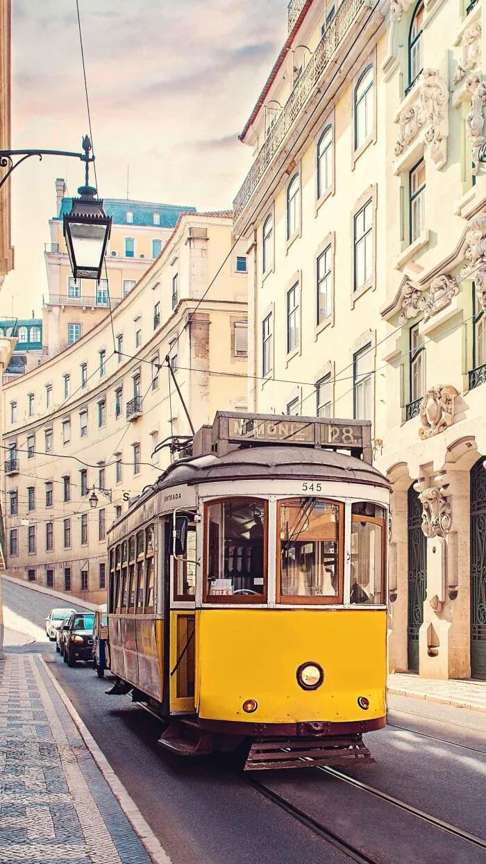 最惊艳的自然风景手机壁纸超清,风景壁纸动态壁纸高清全屏90帧