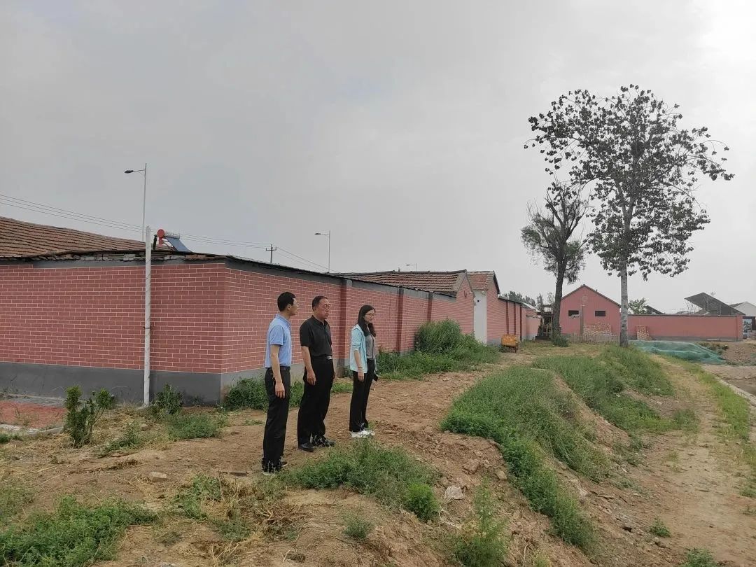 赵虎镇一周工作动态,德州赵虎镇5年计划