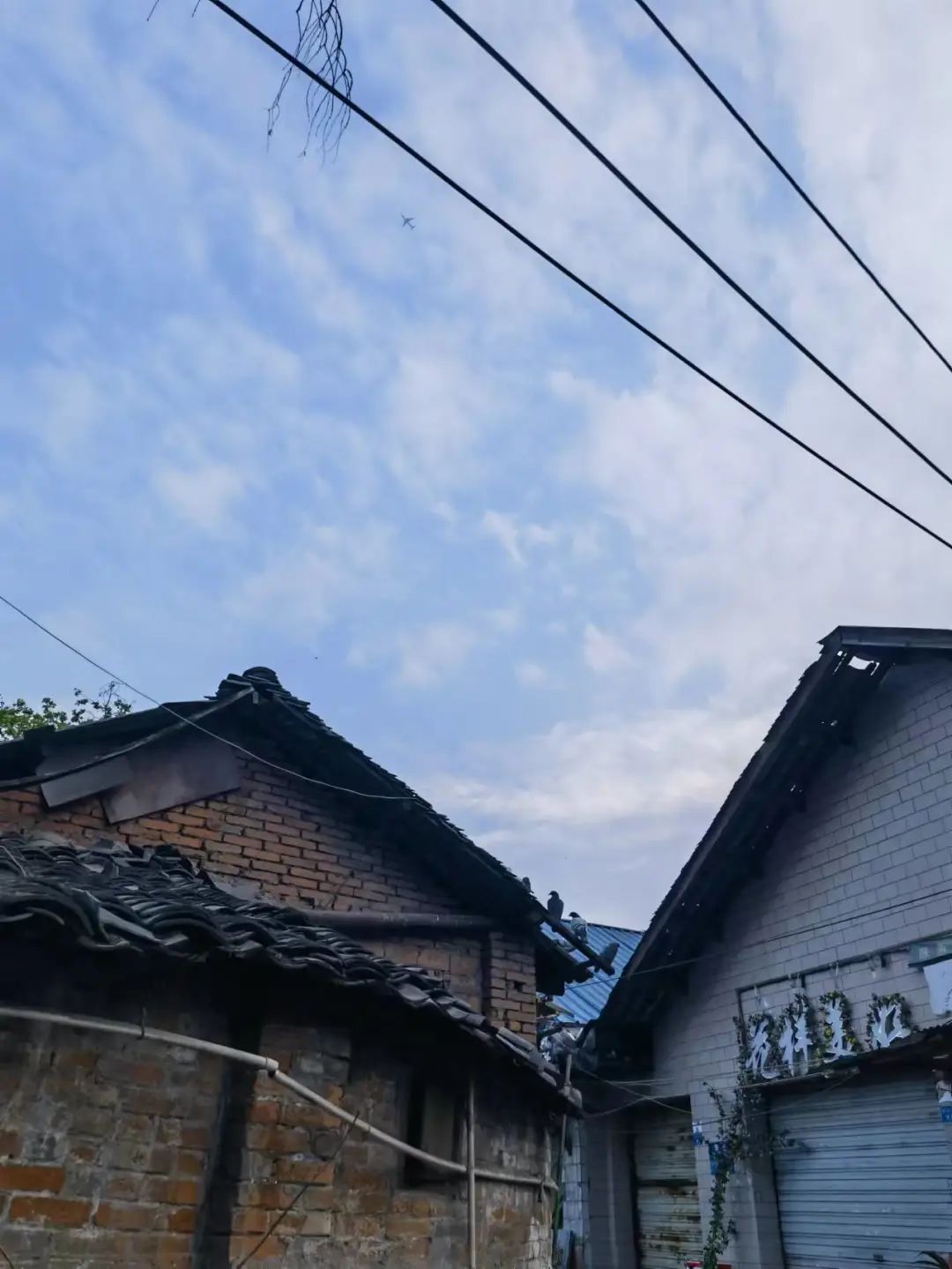 洞子口往事 (陈氏凉粉洞子口)