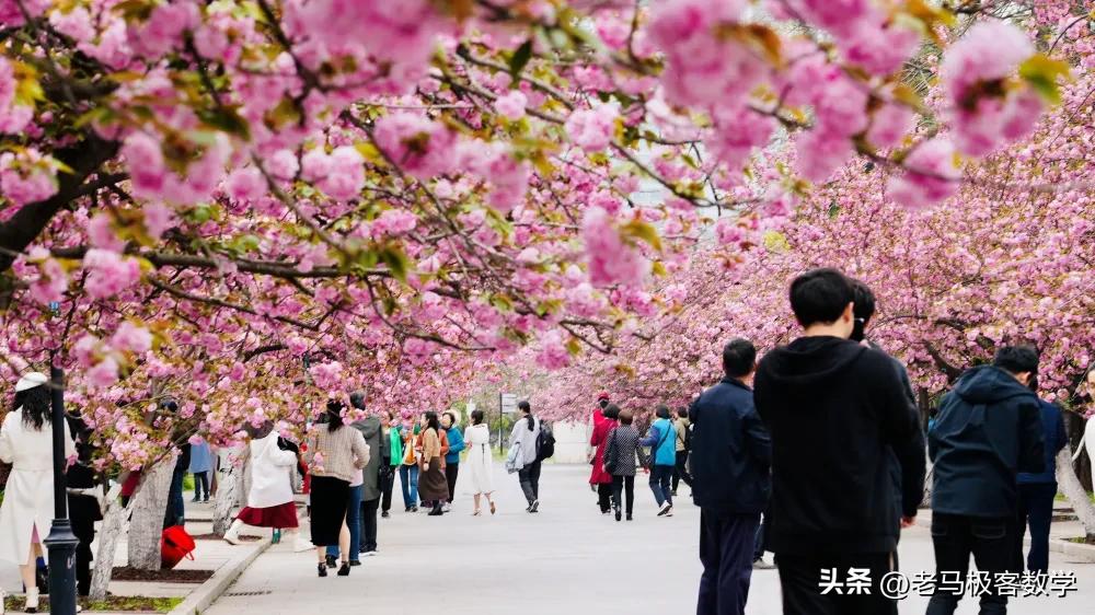 安徽省考前适应性评估试卷二语文,2023年安徽省中考数学试卷第10题