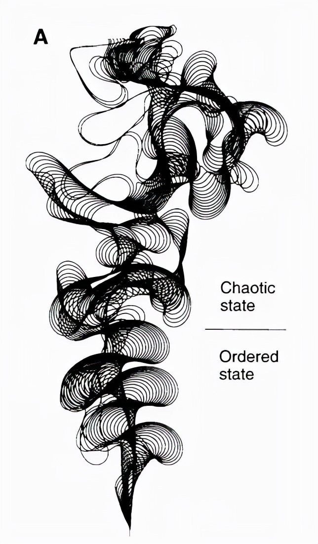 关于圆周率的资料图文,圆周率通俗讲解视频
