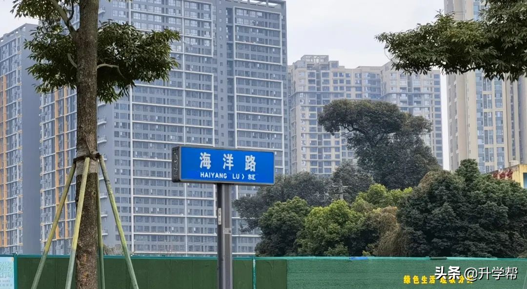 天府新区3所标杆学校,成都天府新区学校有哪些