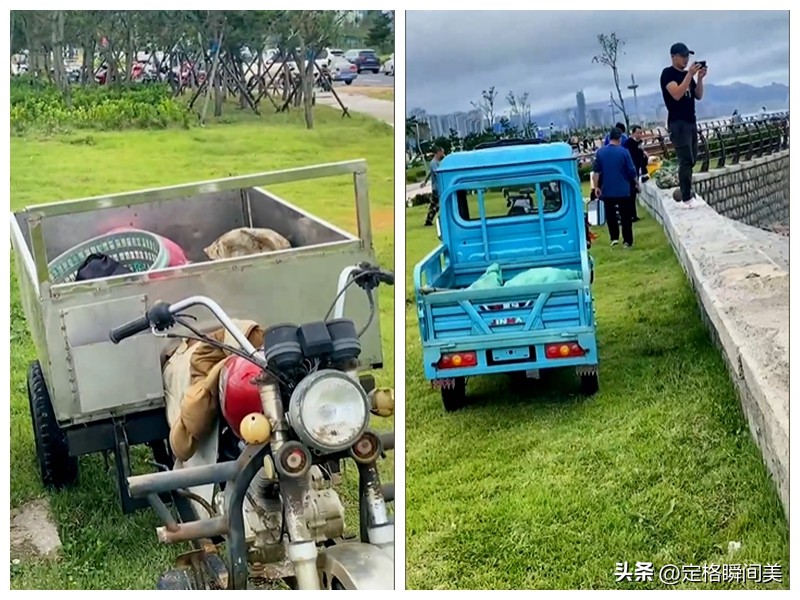 青岛台风过后海鲜遍地图片,台风过后大量海鲜推上沙滩