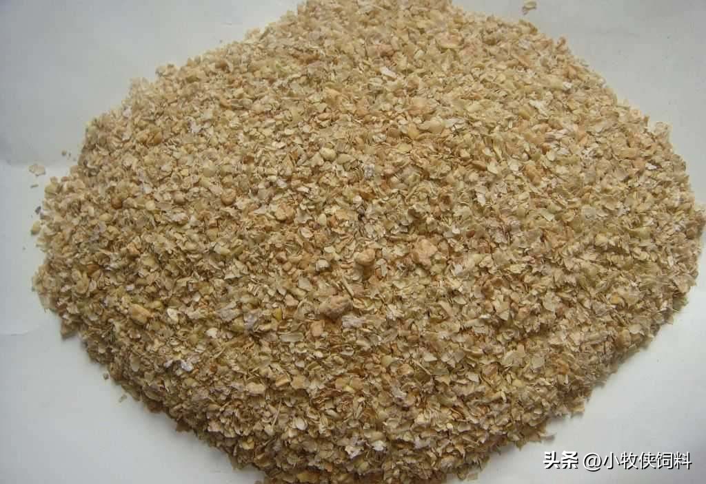 养羊技术养羊饲料配方,养羊60天快速育肥典型精料配方