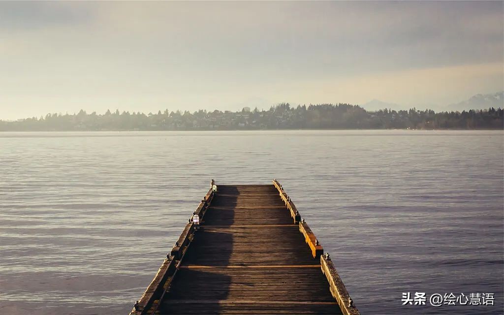 智商和情商决定了你的人生,智商和情商谁更重要
