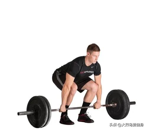 卷尾骨的功效,卷尾骨有什么好处