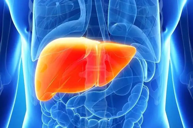 中医能治愈腹水吗,中医和西医哪个治疗腹水更快