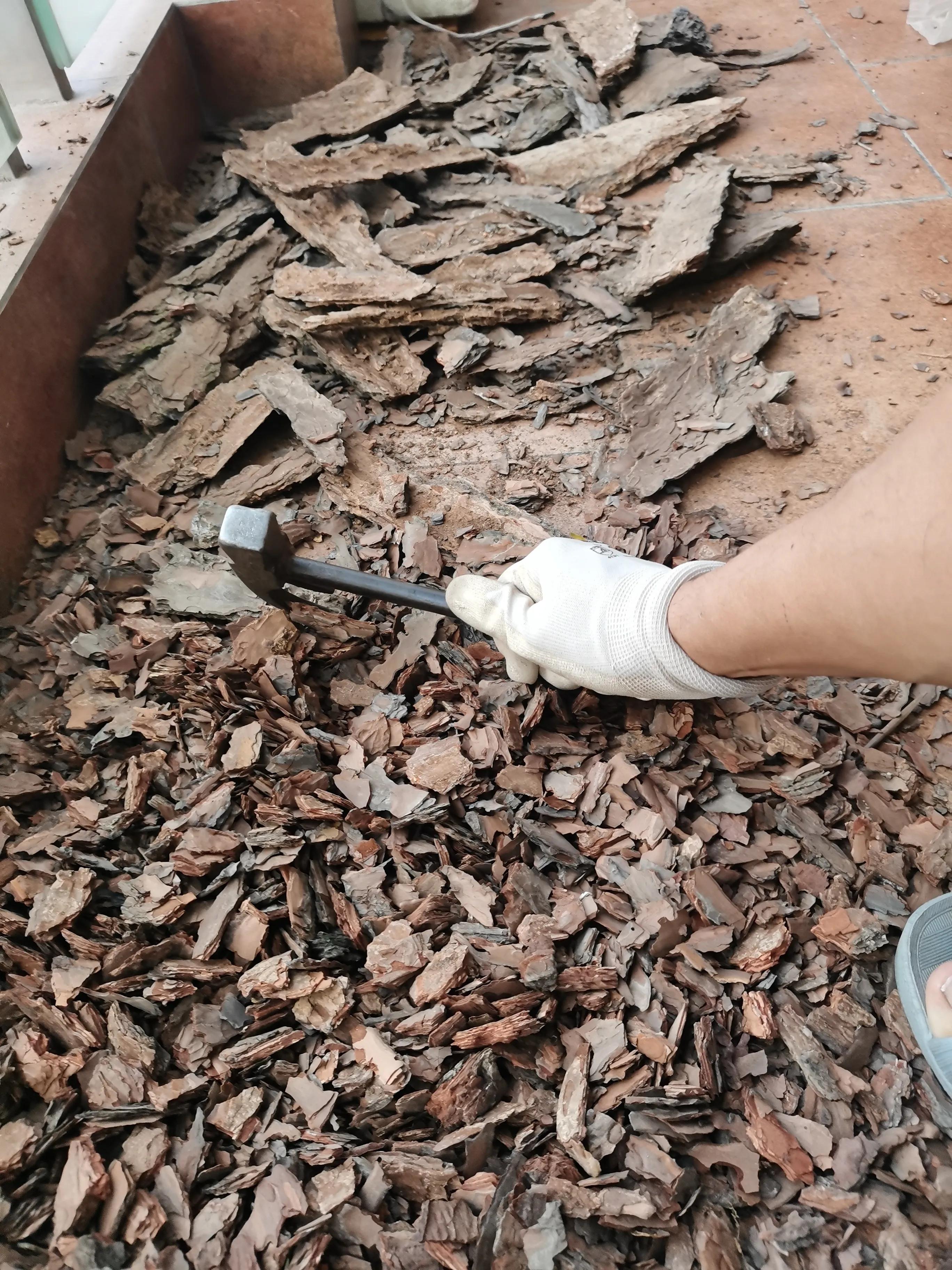 捡来的树皮怎么杀菌,捡了的树皮如何处理