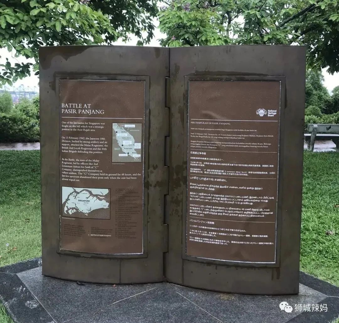 新加坡遛娃免费景点推荐一下,新加坡周末遛娃